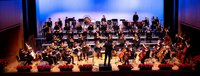 (c) tonart Musikschule Mittleres Rheintal